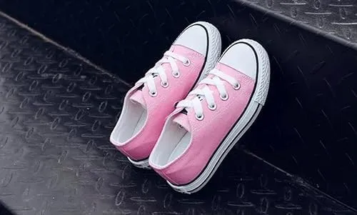 Girl's Canvas Sneakers Casual Style All Season Toddler Little Kid